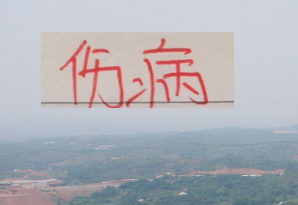 线上配资 都有因伤不如意球星 海港有球王 申花有2024本土标王